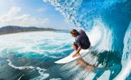 开云下载-致命一击中的铁壁防守，葡萄牙力克哥伦比亚，贝林厄姆成为C组最后赢家